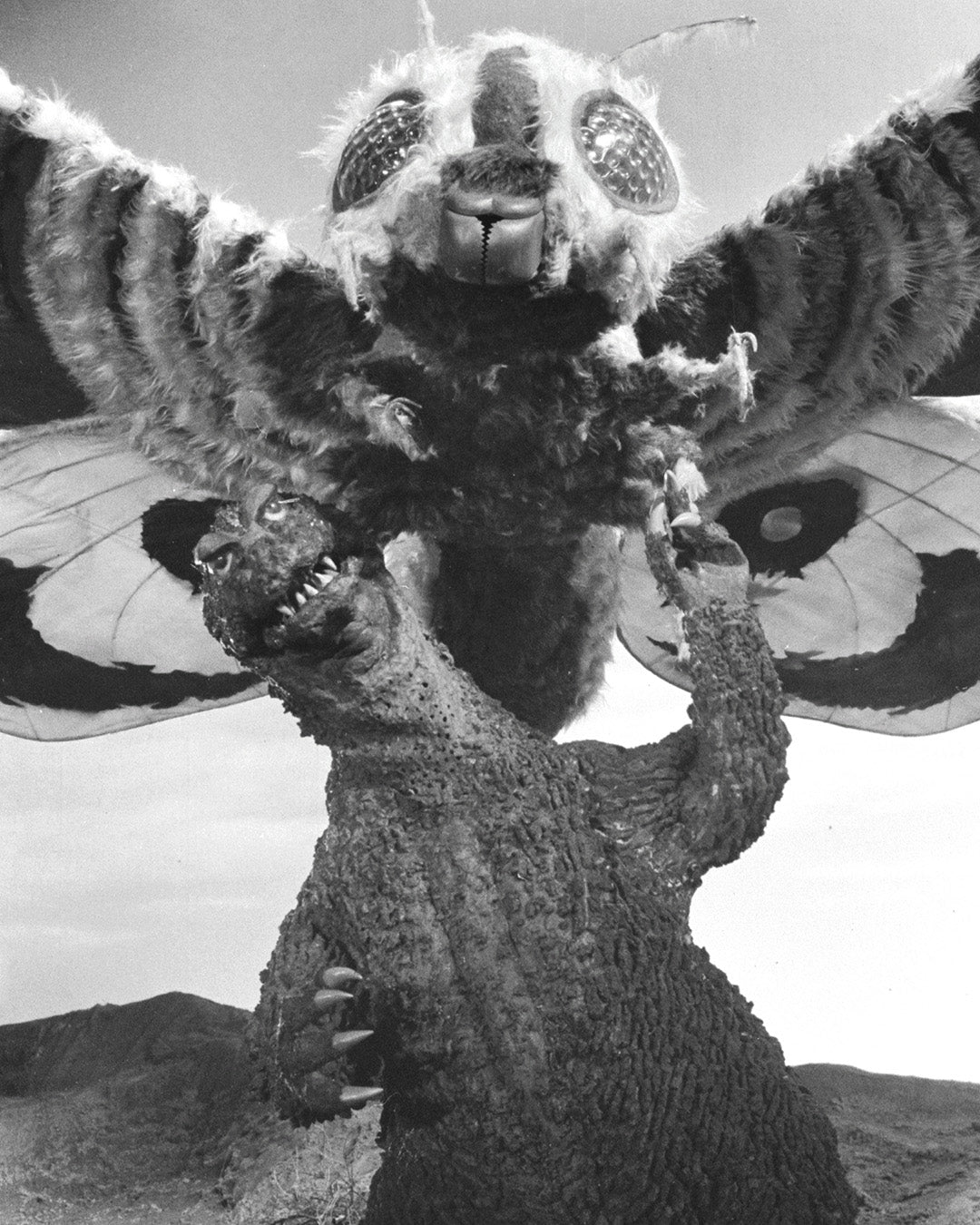 Celebrate the Anniversary of Mothra vs. Godzilla, a Landmark Clash in