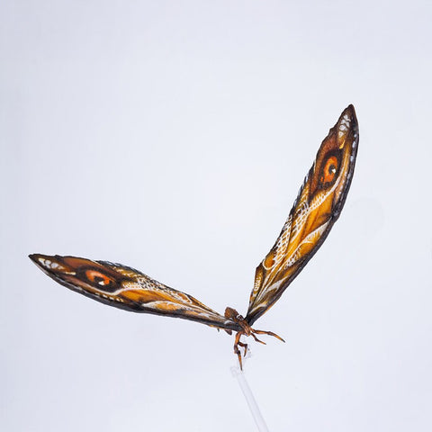 HIYA Exquisite Basic Series None Scale 14 Inch Godzilla x Kong The New Empire Mothra Premium Set Action Figure