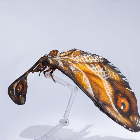 HIYA Exquisite Basic Series None Scale 14 Inch Godzilla x Kong The New Empire Mothra Premium Set Action Figure