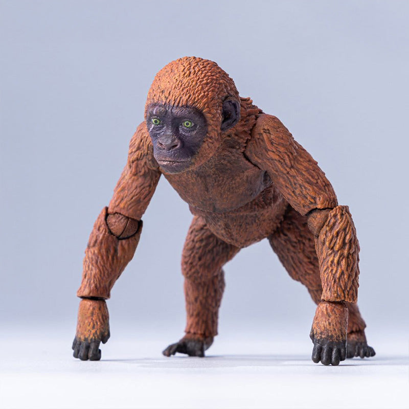 HIYA Exquisite Basic Series None Scale 14 Inch Godzilla x Kong The New