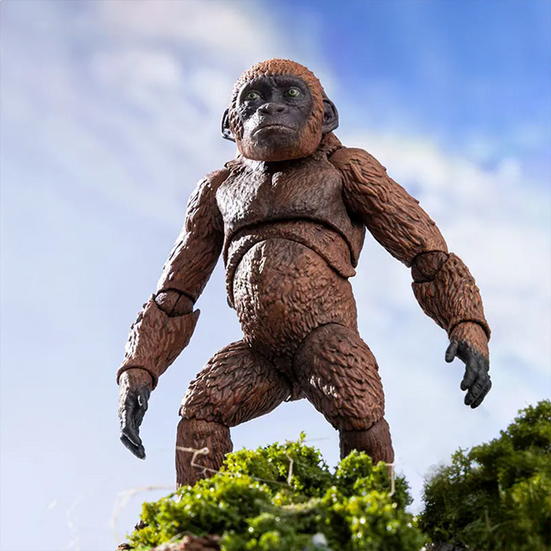 HIYA Exquisite Basic Series None Scale 14 Inch Godzilla x Kong The New