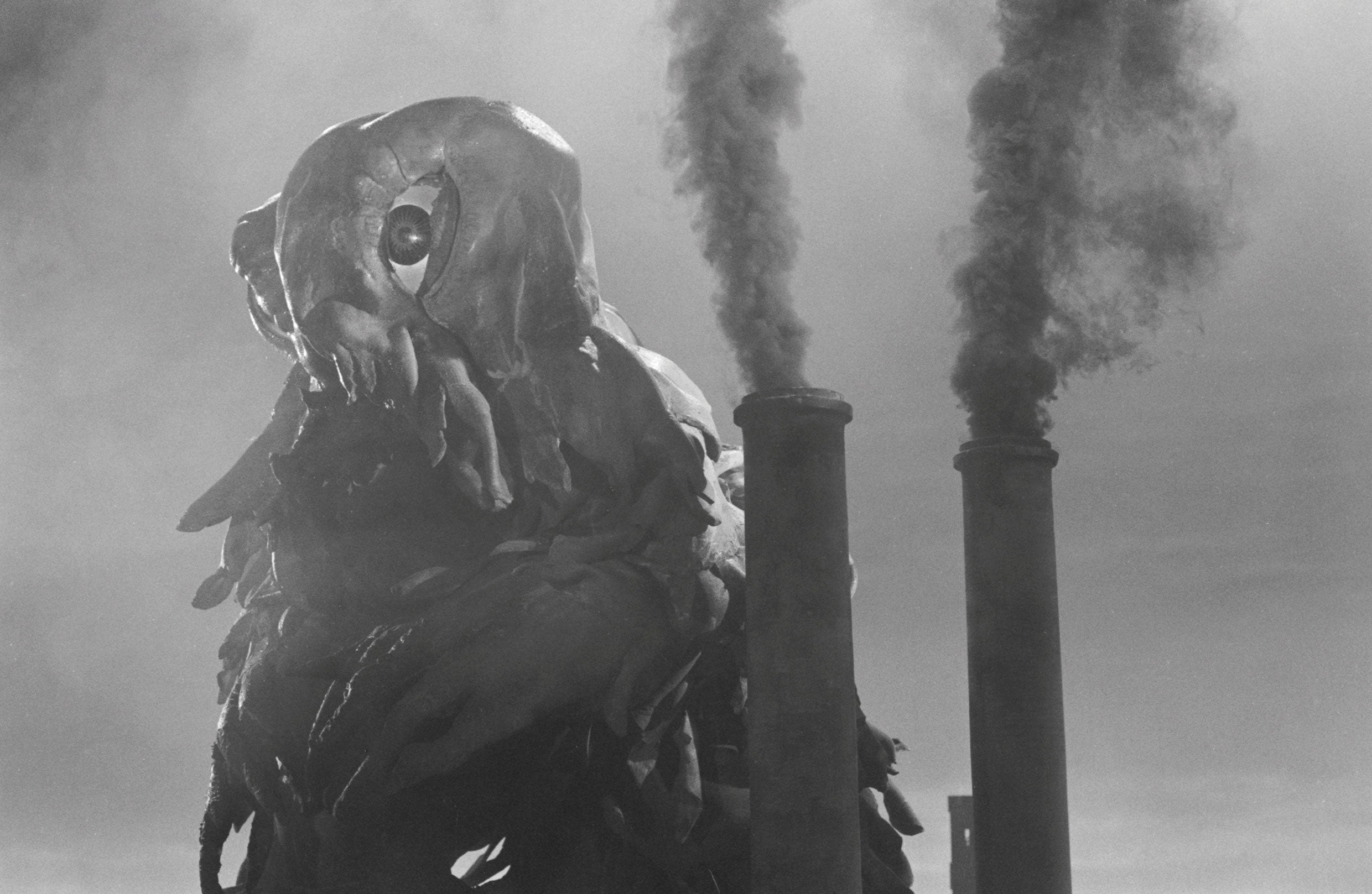 Hedorah Aquatic & Flying Forms Godzilla Monsterpedia