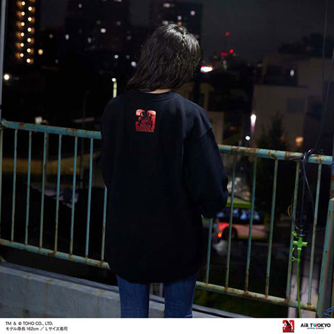 Godzilla vs. Destoroyah 30th Anniversary Scene Illustration Sweatshirt 1