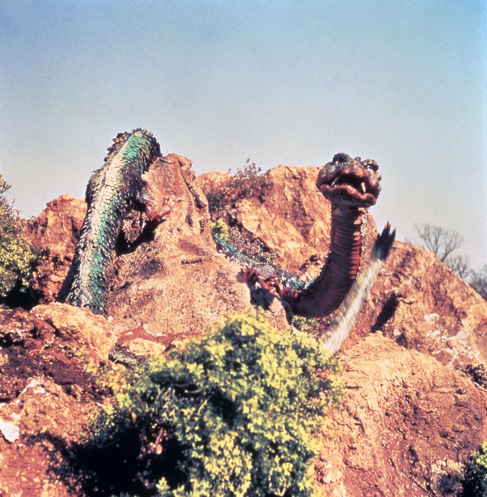 Photo Manda Manda - Size & Other Facts | Godzilla Monsterpedia