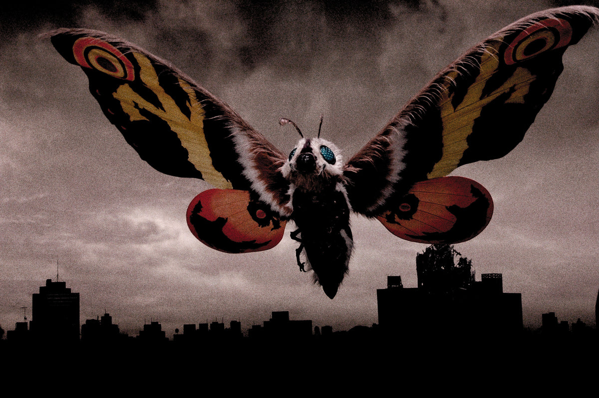 Mothra - Divine Kaiju & Ally of Earth | Godzilla Monsterpedia