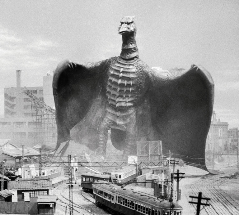 Rodan the Flying Kaiju | Godzilla Monsterpedia