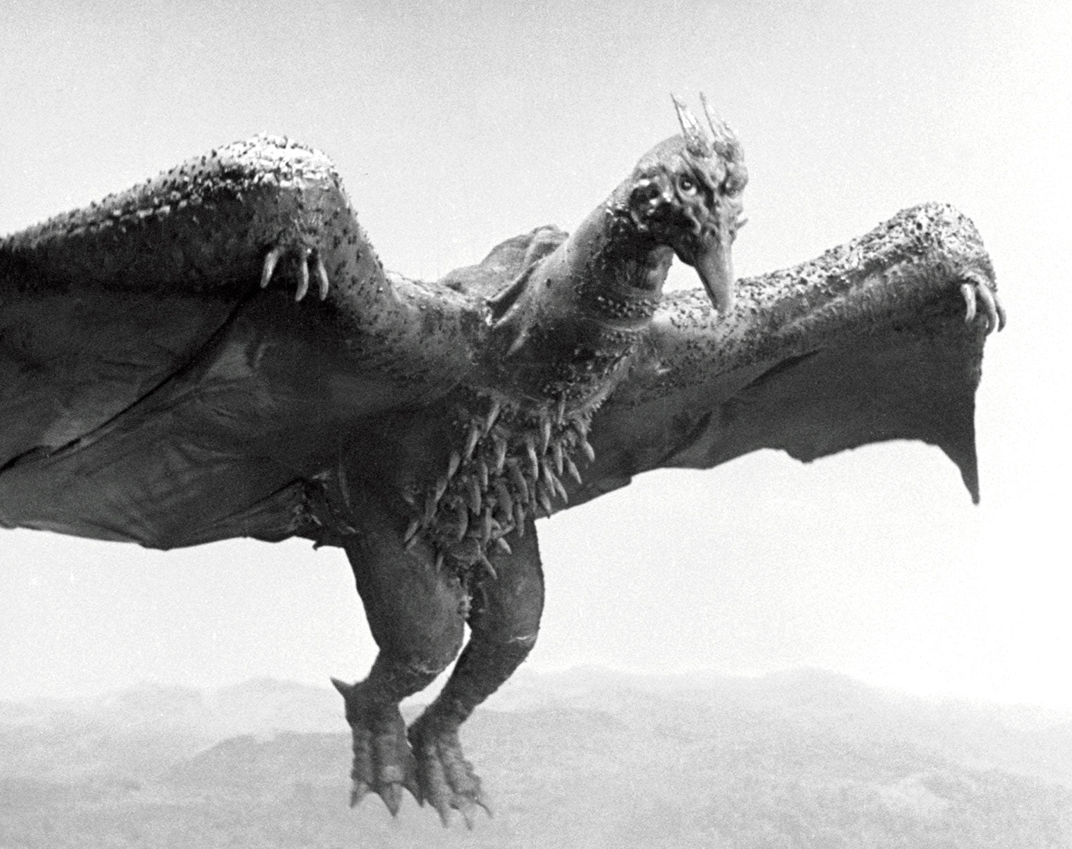 Rodan the Flying Kaiju | Godzilla Monsterpedia
